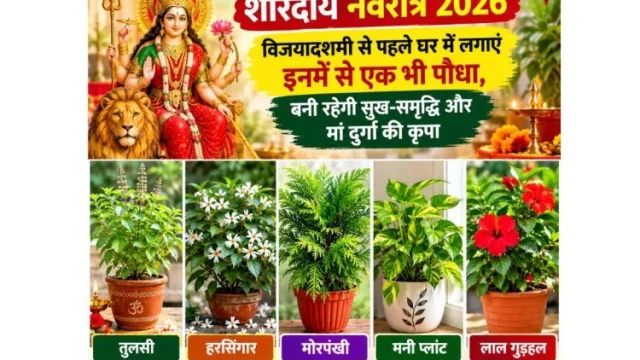 Shardiya Navratri : विजयादशमी से पहले घर में लगाएं तुलसी, हरसिंगार समेत 5 शुभ पौधे