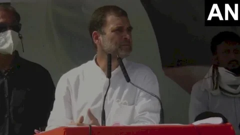 Bihar Assembly Election 2020: सच्चाई जान चुका है बिहार, इस बार मिलेगा जवाब: राहुल गांधी