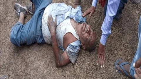 धनबाद: मधुमक्खियों के झुंड के हमले में इंटक लीडर जख्मी, हालत गंभीर सेंट्रल हॉस्पीटल में एडमिट