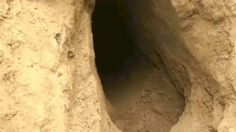 जम्मू-कश्मीर: BSF को इंटरनेशनल बोर्डर पर मिली सुरंग, पाकिस्तान की एक और आतंकी साजिश नाकाम