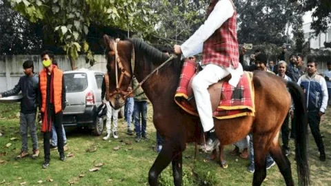 बिहार: तेजप्रताप ने मकर संक्रांति पर गरीबों को दिया दही-चूड़ा भोज, किया घोड़े की सवारी 