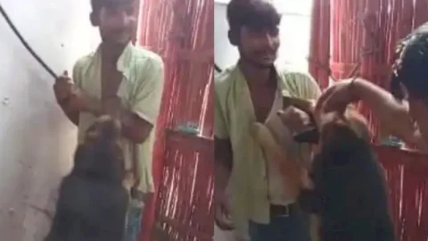 बिहार: समस्तीपुर में चिकनशॉप मालिक ने नौकर को कमरे में बंद करके कुत्तों से कटवाया, बेल्टों से पीटा वीडियो वायरल