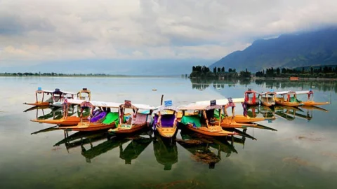 जम्मू-कश्मीर: आर्मी ने नौ एनकाउंटर में 13 आतंकी मारे, छह दिन से चल रहे एनकाउंटर में अब तक नौ सैनिक शहीद