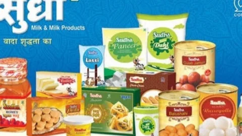 बिहार: सुधा दूध के दाम बढ़े, पनीर, पेड़ा और गुलाब जामुन भी हुआ महंगा, 11 नवंबर से लागू होंगी नई रेट