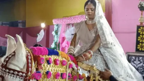 बिहार: घोड़े पर सवार होकर दूल्हे को लाने निकली एयर होस्टेस दुल्हन,आगे बाराती, पीछे बैंड बाजा... 