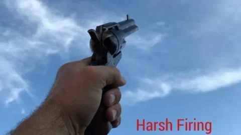 अरवल: जयमाला में हर्ष फायरिंग, दुल्हन की भाभी की मौत, मची अफरातफरी, बॉडी लेकर फरार