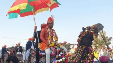 राजस्थान: दादा का सपना पूरा करने के लिए पोता ने बाड़मेर में ऊंटों पर निकाली शादी की बारात