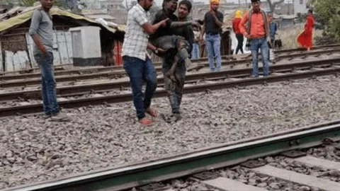 बिहार: खगड़िया में  कचरे का बोरा फेंकते ही धड़ाधड़ फटने लगे बम, एक दर्जन लोग जख्मी