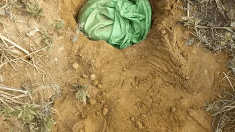 जम्मू कश्मीर: सांबा जिले में LOC के पास ‍BSF अफसरों को मिली सुरंग,हड़कंप, अलर्ट मोड पर सुरक्षा बल
