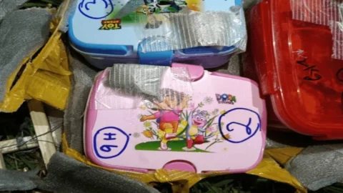 जम्मू-कश्मीर: पाकिस्तान ने ड्रोन से भेजे तीन आइईडी टिफिन बम, आर्मी ने किये डिफ्यूज  