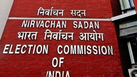 Jharkhand Assembly Election 2024 Result: राज सिन्हा, मथुरा महतो,शरत,रागिनी, अरुप व  बबलू जीते