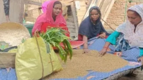 Chhat Puja 2022: बिहार के गोपालगंज में मुस्लिम महिलाएं करती हैं छठ व्रत, पूरी हुई मन्नत, तोड़ी धर्म की दीवार