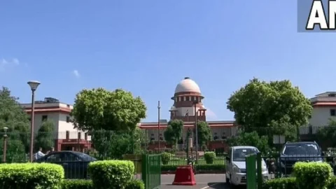 थिएटर मालिकों के पास बाहरी खाने को लेकर नियम तय करने का अधिकार, फ्री हो पीने का पानी: सुप्रीम कोर्ट