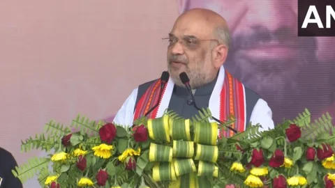 Bihar: BJP की पूर्ण बहुमत की सरकार बनेगी, दंगाइयों को उल्टा लटकाकर सीधा करेंगे: अमित शाह