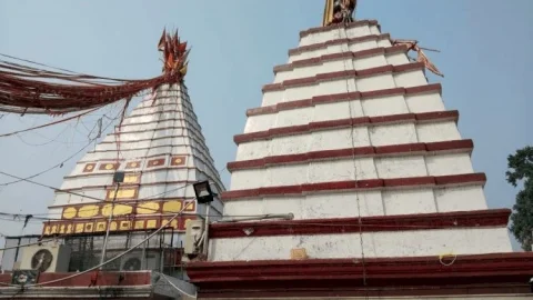 श्रावणी मेला 2026: शीघ्रदर्शनम कूपनधारकों के लिए बनेगा अलग डेडिकेटेड रूट, 30 मिनट पहले होंगे बाबा के दर्शन