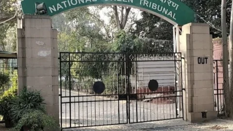 Jharkhand: NGT ने CCL पर लगाया एक करोड़ फाइन,ओवर बर्डन डालकर पर्यावरण को नुकसान पहुंचाया