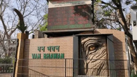 झारखंड में वन भूमि पर बड़ा एक्शन! 32 हजार एकड़ अतिक्रमण हटाने की तैयारी, जंगल बचाने को बनेगा लैंडबैंक