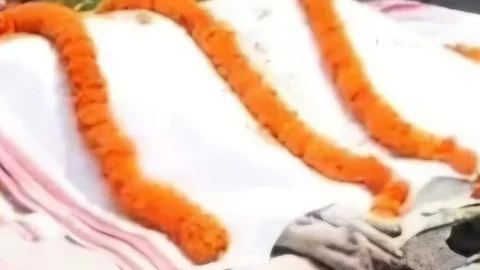 30 मासूमों की जान बचाकर ‘हीरो’ बना कुत्ता काली, जहरीले सांप से लड़ते-लड़ते दे दी जान; अंतिम विदाई में उमड़ी भीड़