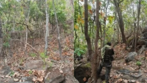 झारखंड: चाईबासा के जंगल में मुठभेड़: एक करोड़ के इनामी मिसिरा बेसरा की तलाश, एक माओवादी ढेर