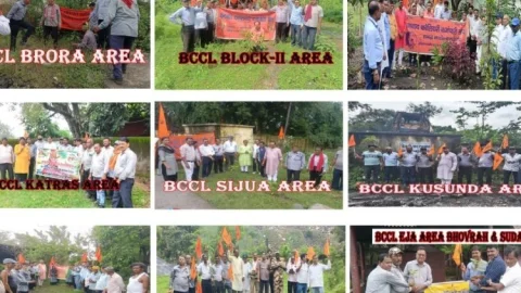 रक्षाबंधन पर BCCL में ‘वृक्ष ही जीवन’ का संकल्प, अमृता देवी बलिदान दिवस पर हुआ पौधारोपण