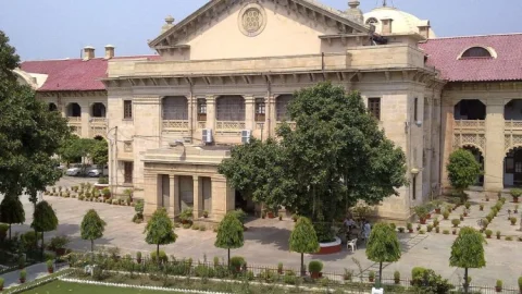 नोएडा DM को इलाहाबाद हाईकोर्ट की कड़ी फटकार, ‘तानाशाह’ अफसरों पर कोर्ट सख्त